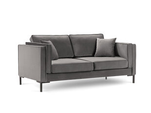 Двухместный диван Luis 2, светло-серый/черный цвет цена и информация | Диваны | hansapost.ee