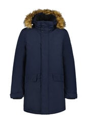Мужская зимняя парка Icepeak ALAMOS, темно-синий цвет цена и информация | Мужские куртки | hansapost.ee
