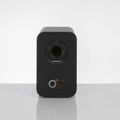 Q Acoustics Q3020i цена и информация | Аудиоколонки | hansapost.ee