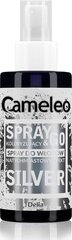 Тонирующий спрей-краска для волос Delia Cosmetics Cameleo Spray & Go Spray Silver, 150мл цена и информация | Шампуни | hansapost.ee