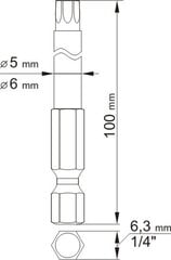 T27 ja T15 torx komplekt 100mm 2tk 0491 цена и информация | Механические инструменты | hansapost.ee