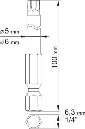 T27 ja T15 torx komplekt 100mm 2tk 0491 цена и информация | Käsitööriistad | hansapost.ee