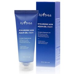 Näokreem Isntree Hyaluronic Acid Aqua Gel Cream, 100 ml hind ja info | Isntree Parfüümid, lõhnad ja kosmeetika | hansapost.ee