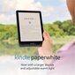 Amazon Kindle Paperwhite 11 Blue hind ja info | E-lugerid | hansapost.ee