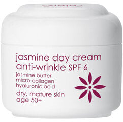 Увлажняющий дневной крем для зрелой кожи SPF 6 Ziaja Anti-wrinkle Jasmine, 50 мл цена и информация | Кремы для лица | hansapost.ee