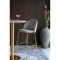 2-tooliga komplekt House Nordic Lausanne, hall/kuldne hind ja info | Köögitoolid, söögitoolid | hansapost.ee