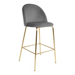 Комплект из 2 стульев House Nordic Lausanne, серый/золотой цена и информация | Стулья для кухни и столовой | hansapost.ee