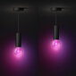Philips Hue ripplaelamp Philips Lightguide Cord valgusti riputusjuhe, must, E27 цена и информация | Rippvalgustid | hansapost.ee