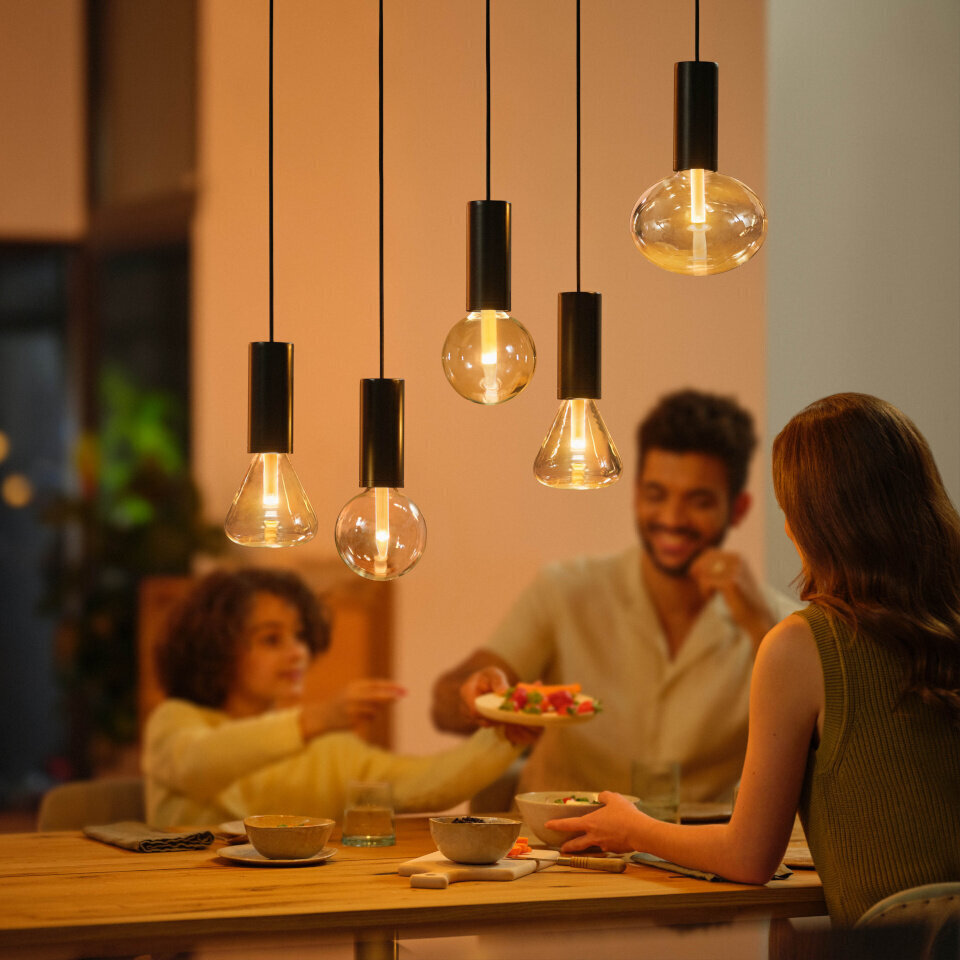 Philips Hue ripplaelamp Philips Lightguide Cord valgusti riputusjuhe, must, E27 цена и информация | Rippvalgustid | hansapost.ee