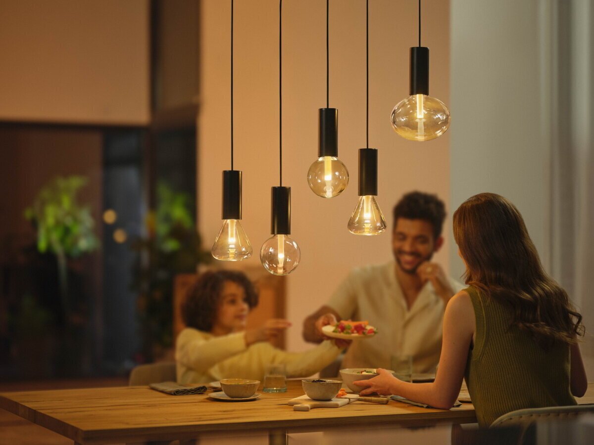 Philips Hue ripplaelamp Philips Lightguide Cord valgusti riputusjuhe, must, E27 цена и информация | Rippvalgustid | hansapost.ee