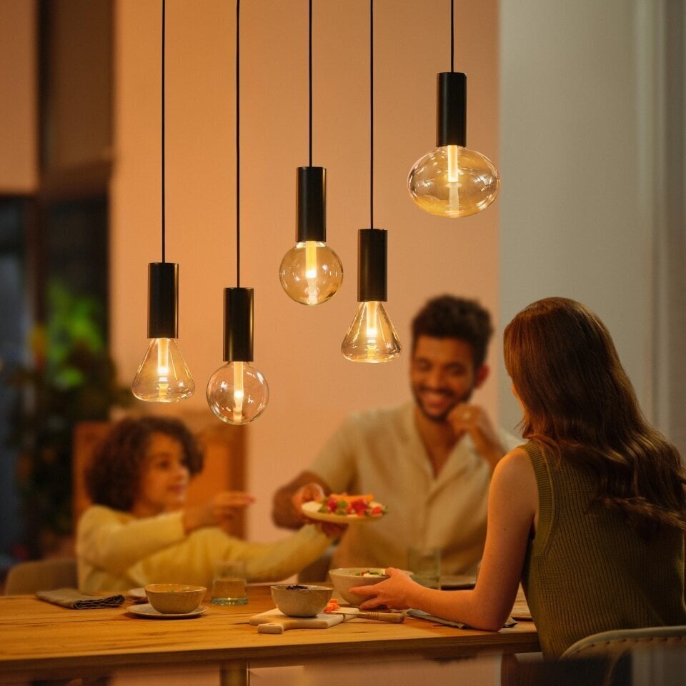 Philips Hue ripplaelamp Philips Lightguide Cord valgusti riputusjuhe, must, E27 цена и информация | Rippvalgustid | hansapost.ee