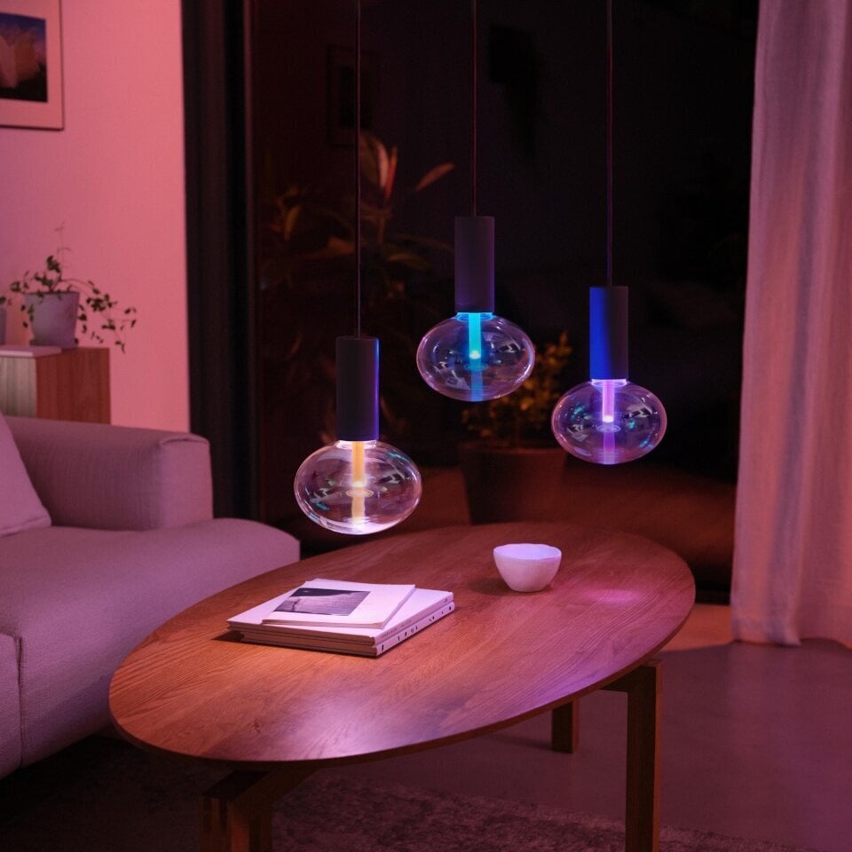 Philips Hue ripplaelamp Philips Lightguide Cord valgusti riputusjuhe, must, E27 цена и информация | Rippvalgustid | hansapost.ee