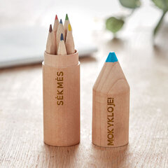 Набор карандашей в деревянной коробке Удачи в школе!, 7 штук цена и информация | Другие оригинальные подарки | hansapost.ee