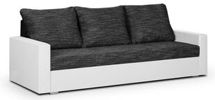 Трехместный диван Lion, белый/черный цвет цена и информация | Диваны | hansapost.ee