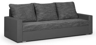Трехместный диван Lion, серый цена и информация | Диваны | hansapost.ee
