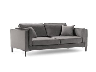 Четырехместный диван Luis 4, светло-серый/черный цена и информация | Диваны | hansapost.ee