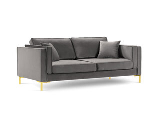 Neljakohaline diivan Luis 4, helehall/kuldne price and information | Sofa beds and sofas | hansapost.ee