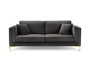 Четырехместный диван Luis 4, темно-серый/золотистый цена и информация | Диваны | hansapost.ee