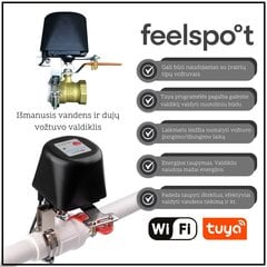 Nutikas klapikontroller Feelspot FS-VC01 WiFi hind ja info | Valvesüsteemid, kontrollerid | hansapost.ee