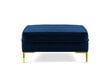 Tumba Luis 1, sinine/kuldne hind ja info | Kott-toolid, tumbad, järid | hansapost.ee