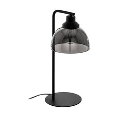 Настольный светильник Eglo 98386 цена и информация | Настольные лампы | hansapost.ee