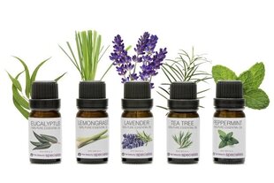 Набор эфирных масел Rio Aromatherapy Oil Collection, 5 x 10 мл цена и информация | Эфирные, косметические масла, гидролаты | hansapost.ee