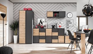 Комод Hakano Nesi, коричневый/черный цвет цена и информация | HAKANO Мебель для гостиной | hansapost.ee