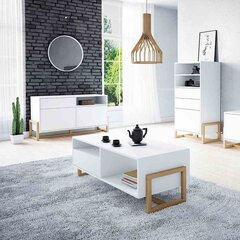 Комод Hakano Vernum, белый цвет цена и информация | HAKANO Мебель для гостиной | hansapost.ee