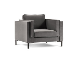 Кресло Luis 1, светло-серый/черный цвет цена и информация | Кресла | hansapost.ee