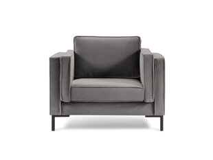 Кресло Luis 1, светло-серый/черный цвет цена и информация | Кресла | hansapost.ee