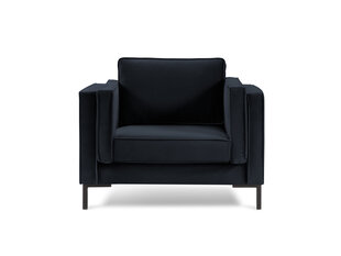 Кресло Luis 1, черный цвет цена и информация | Кресла для отдыха | hansapost.ee
