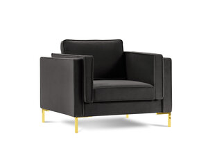 Кресло Luis 1, темно-серый/золотой цвет цена и информация | Кресла | hansapost.ee
