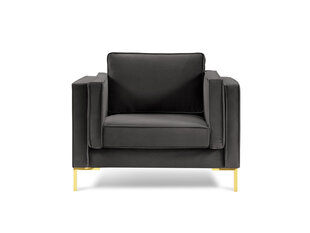 Кресло Luis 1, темно-серый/золотой цвет цена и информация | Кресла для отдыха | hansapost.ee