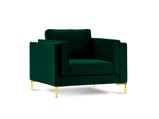 Кресло Luis 1, зеленый/золотистый цвет цена и информация | Кресла | hansapost.ee