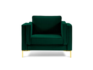 Кресло Luis 1, зеленый/золотистый цвет цена и информация | Кресла для отдыха | hansapost.ee