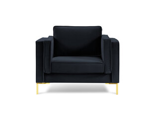 Кресло Luis 1, темно-синий/золотой цвет цена и информация | Кресла для отдыха | hansapost.ee