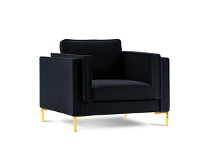 Кресло Luis 1, темно-синий/золотой цвет цена и информация | Кресла | hansapost.ee