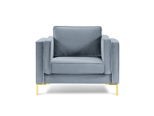 Кресло Luis 1, голубой/золотой цвет цена и информация | Кресла для отдыха | hansapost.ee