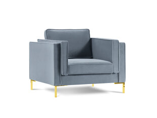 Кресло Luis 1, голубой/золотой цвет цена и информация | Кресла | hansapost.ee