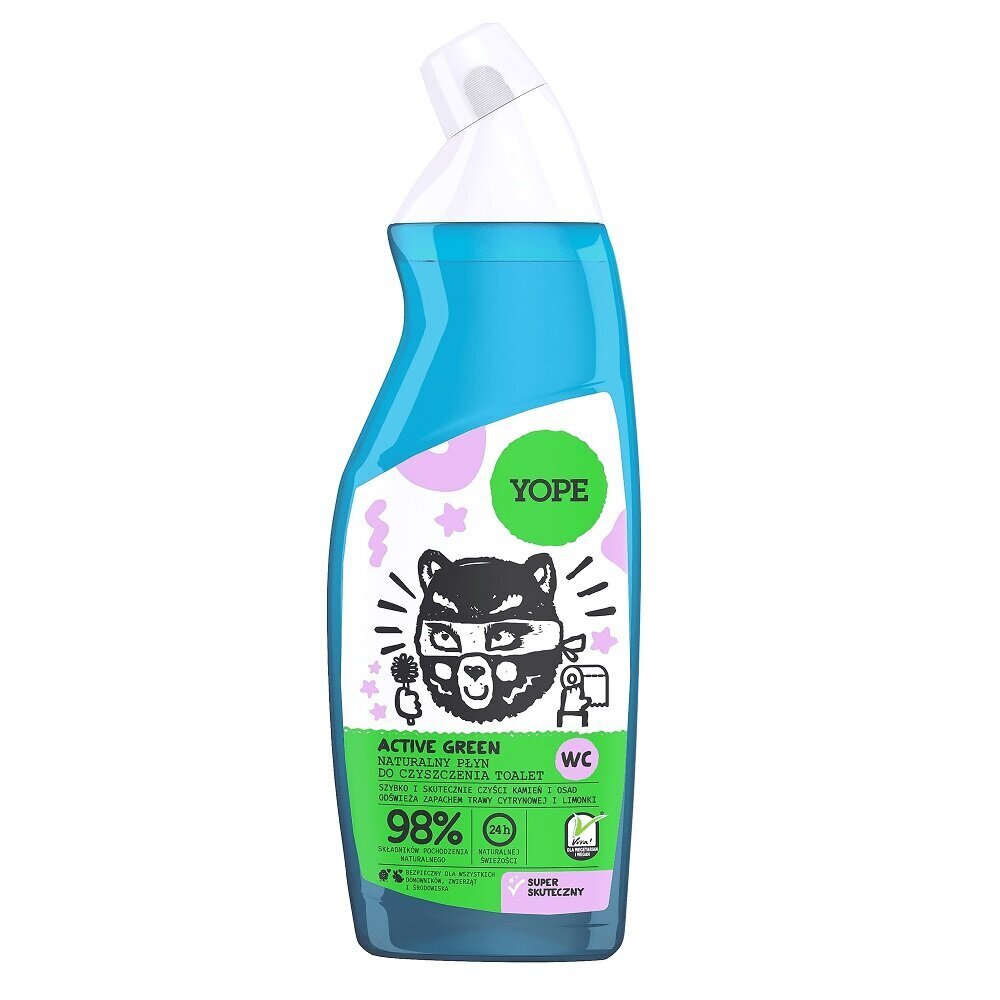 Sidrunheina lõhnaga WC puhastusgeel Yope Active Green, 750ml hind ja info | Puhastusvahendid | hansapost.ee