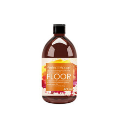 Professionaalne puhastusgeel-kontsentraat Perfect House Floor, 480 ml price and information | Cleaning products | hansapost.ee