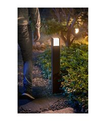 Садовый светильник Philips Hue Outdoor Fuzo, черный цвет цена и информация | Уличные светильники | hansapost.ee