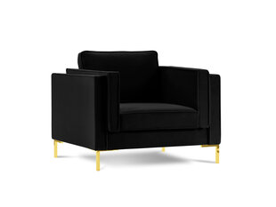 Кресло Luis 1, черный/золотой цвет цена и информация | Кресла | hansapost.ee