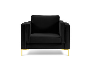 Кресло Luis 1, черный/золотой цвет цена и информация | Кресла для отдыха | hansapost.ee