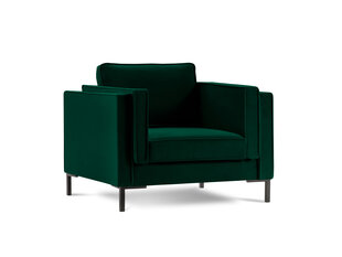 Кресло Luis 1, зеленый/черный цвет цена и информация | Кресла | hansapost.ee