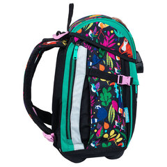 Рюкзак школьный Colorino Ferbie Wildkid, разные цвета цена и информация | Школьные рюкзаки, спортивные сумки | hansapost.ee