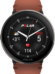 Polar Ignite 3 Titanium Brown 900110028 hind ja info | Nutivõrud ja aktiivsusmonitorid | hansapost.ee