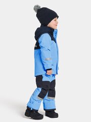 Детский зимний комплект Didriksons SKARE, синий цвет цена и информация | Зимняя одежда для детей | hansapost.ee