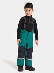 Детские зимние брюки Didriksons IDRE, зеленый цвет цена и информация | Зимняя одежда для детей | hansapost.ee
