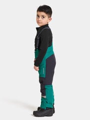 Детские зимние брюки Didriksons IDRE, зеленый цвет цена и информация | Didriksons Одежда, обувь для детей и младенцев | hansapost.ee